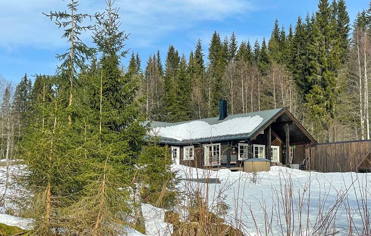 Ferienhaus für 8 Personen, mit Terrasse und Sauna sowie Garten, mit Haustier in Trysil - 3