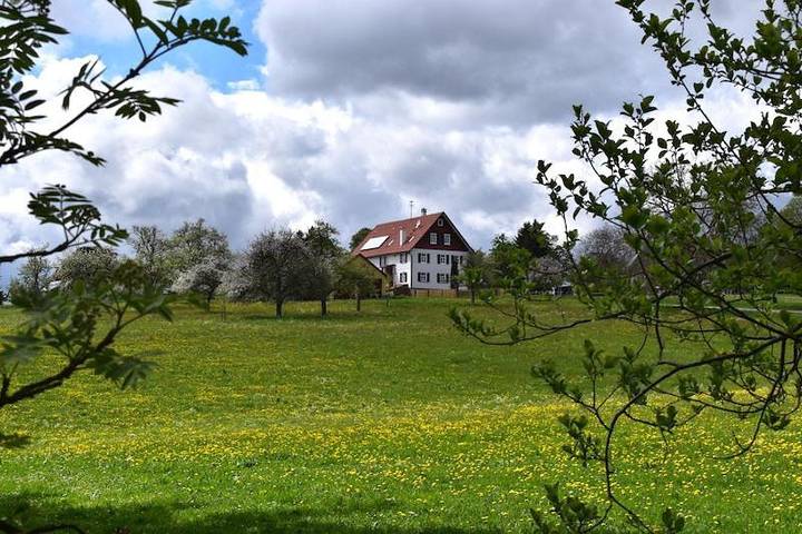 Ferienhaus für 7 Personen, mit Terrasse und Garten sowie Ausblick in Neuweiler - 2