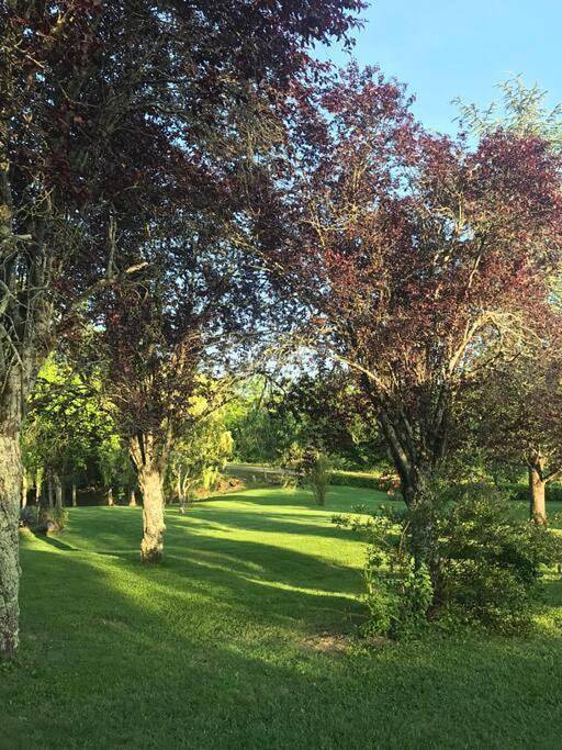 Location de vacances pour 6 personnes, avec vue ainsi que piscine et jardin à Vic-Fezensac - 3