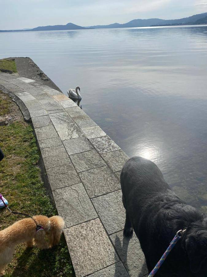 B&B La Rosa del Lago in Arolo (Leggiuno), Comune di Leggiuno