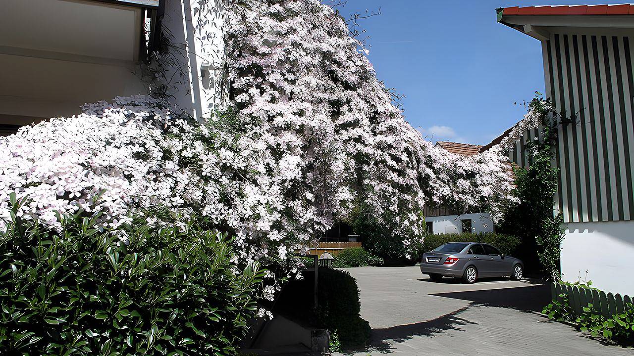 Ganze Ferienwohnung, Ferienwohnung für 4 Personen (46 m²) in Wasserburg am Bodensee in Wasserburg (Bodensee), Bayerisch Schwaben