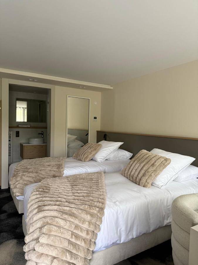 Double Room with Lake View in Contrexéville, Neufchâteau