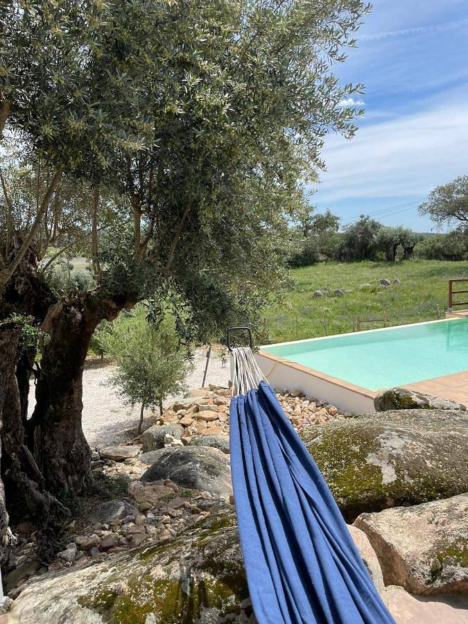 Location de vacances pour 3 personnes, avec vue ainsi que piscine et jardin, adapté aux familles à Portalegre - 4