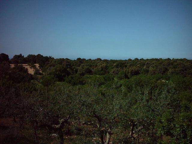 Location de vacances pour 8 personnes, avec piscine ainsi que jardin et vue à Antonelli - 3