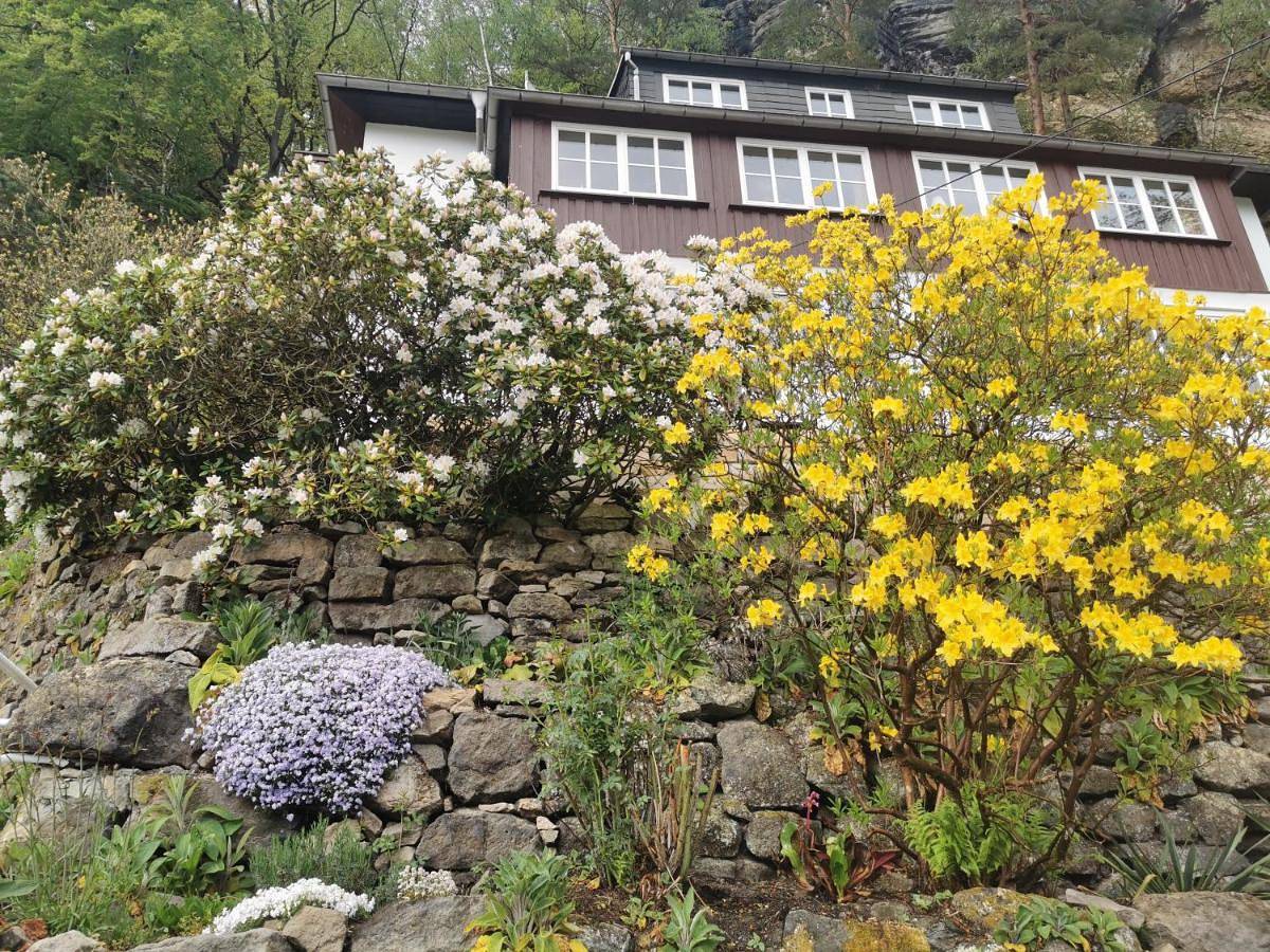 Ganze Wohnung, Apartment - Ground Floor in Rathen, Elbsandsteingebirge