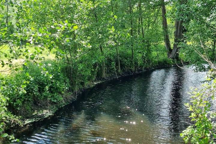 Location de vacances pour 15 personnes, avec terrasse et piscine à Parigné-l'Évêque - 2