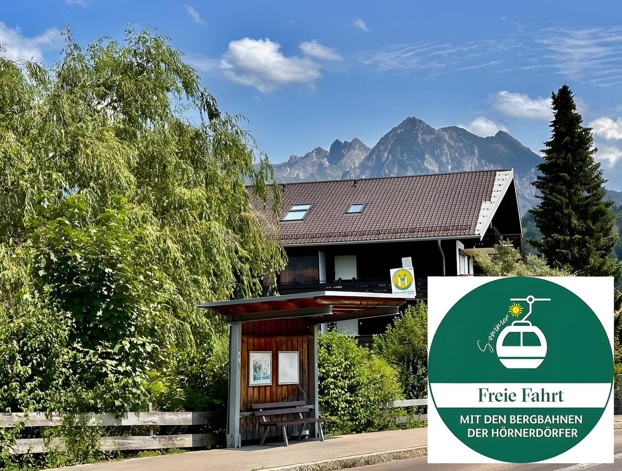 Ganzes Studio, Fewo 'Bergrose' mit Bergbahnticket Hörnerdörfer inklusive, Schwimmbad & Sauna in Obermaiselstein, Bayerisch Schwaben