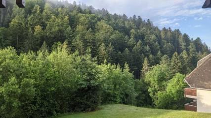 Vakantiewoning voor 4 Personen in Suedlicher Schwarzwald, Todtmoos, Afbeelding 3