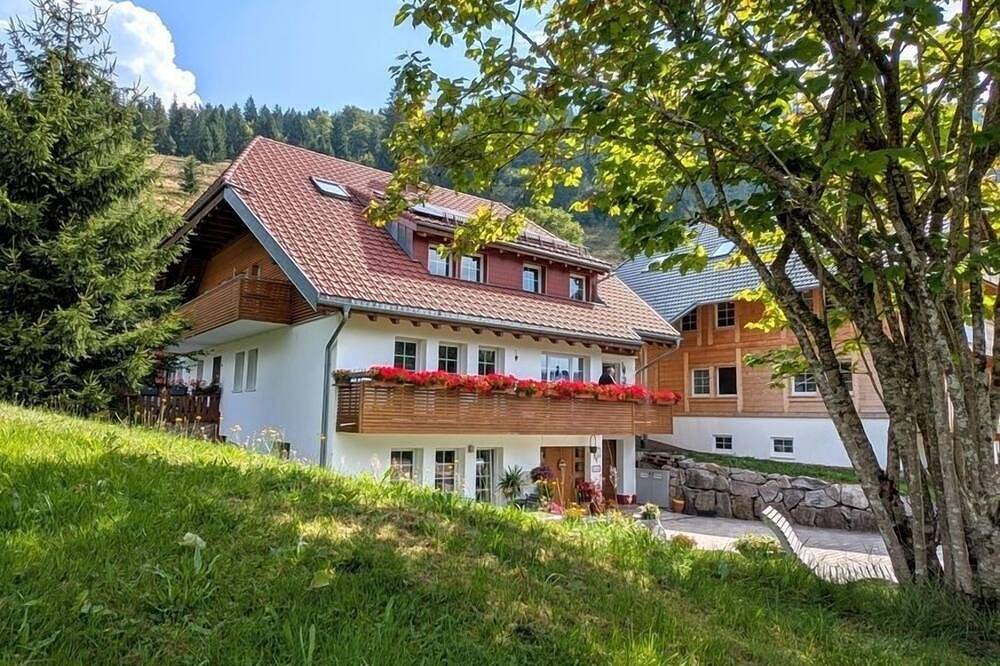 Ganze Wohnung, Wohlfühlwohnung Ahorn in Suedlicher Schwarzwald, Sankt Blasien