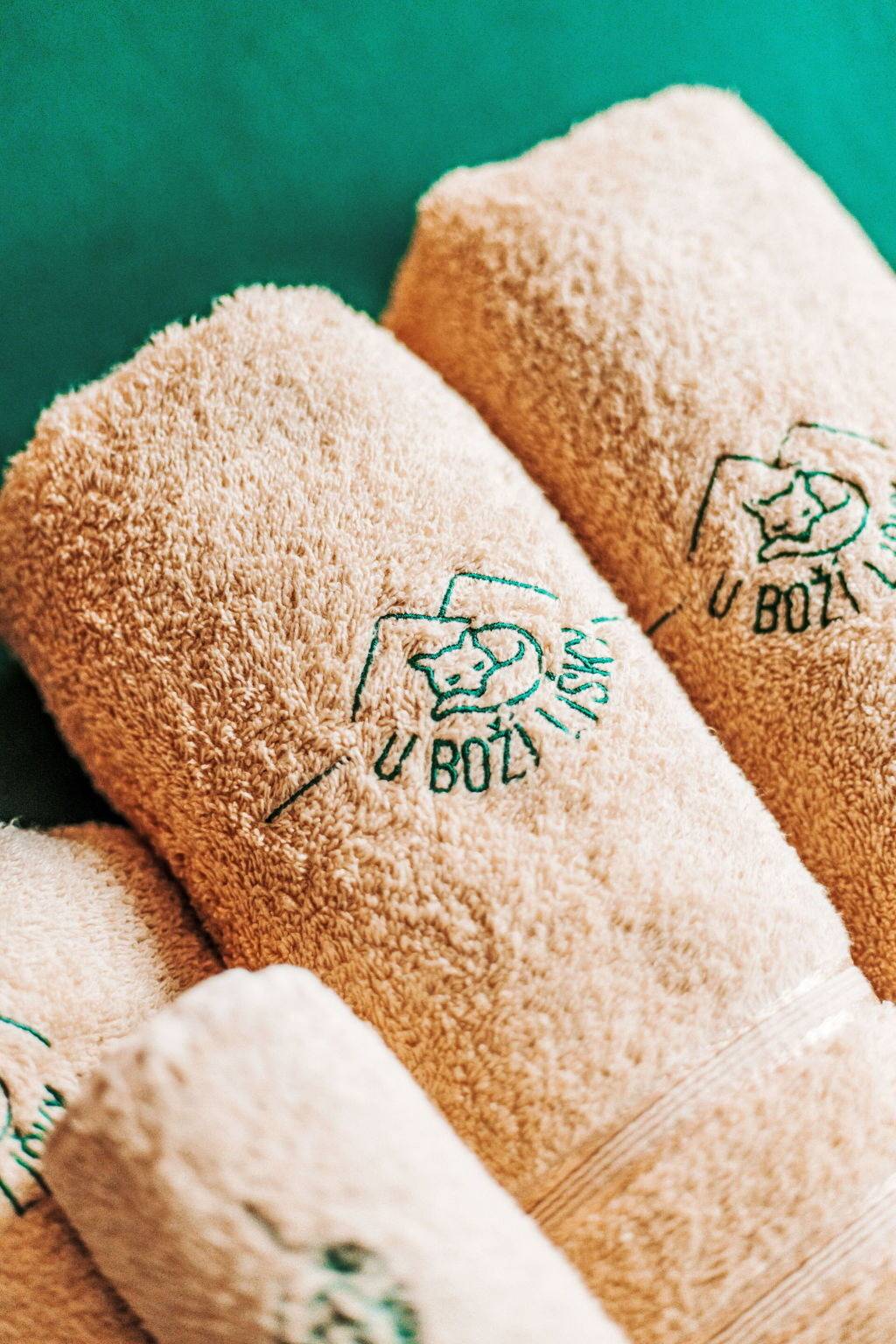 Ganze Wohnung, U Boží Lišky - U Boží Lišky 300.1 in Bozi Dar, Keilberg