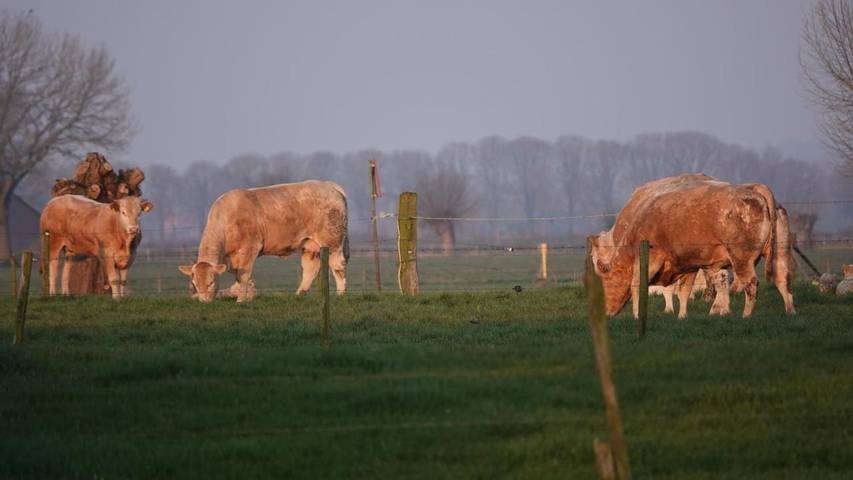 B&b voor 2 personen, with Terras and Tuin as well as Uitzicht in Bronckhorst