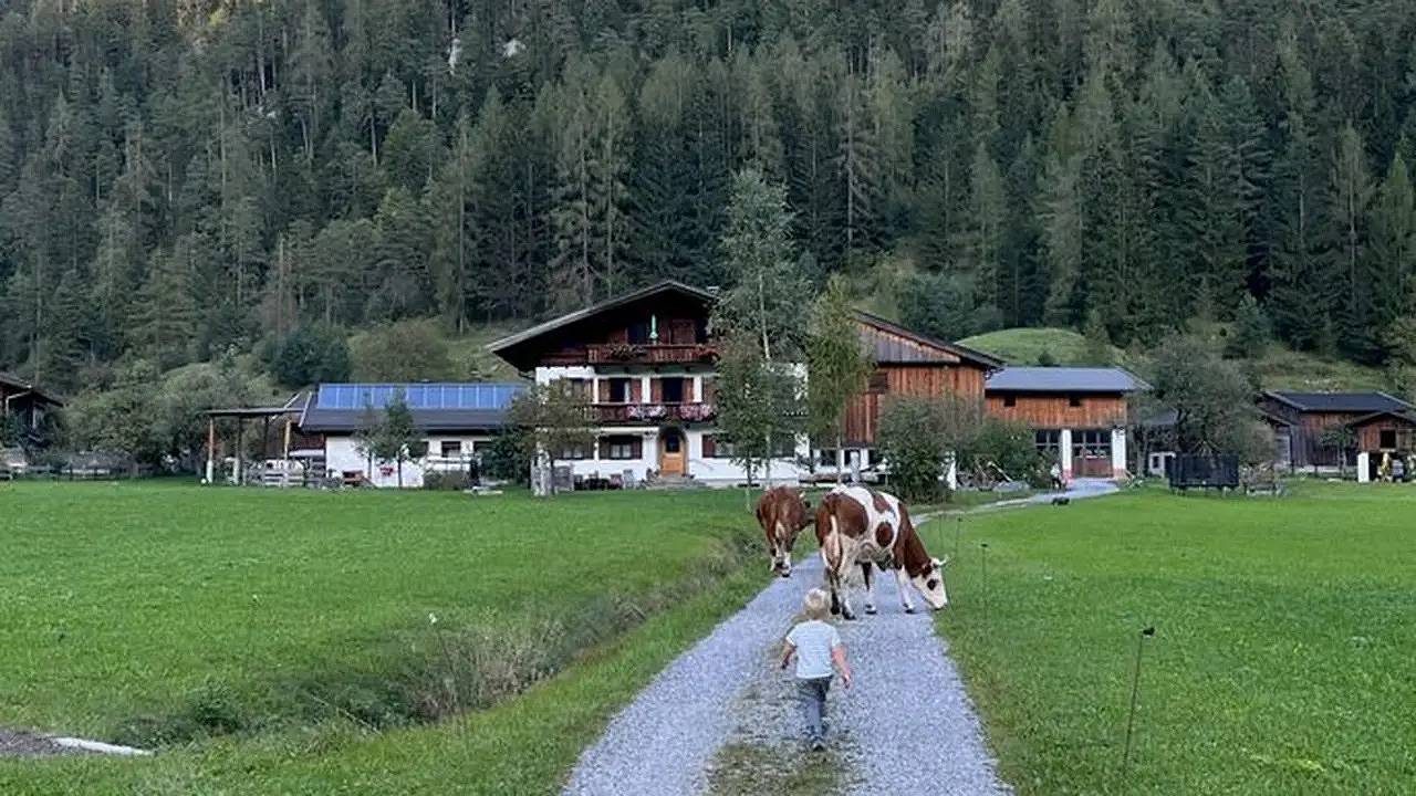 Ganze Ferienwohnung, Ferienwohnung für 4 Personen (45 m²) in St. Martin b. Lofer in Sankt Martin bei Lofer, Pinzgau