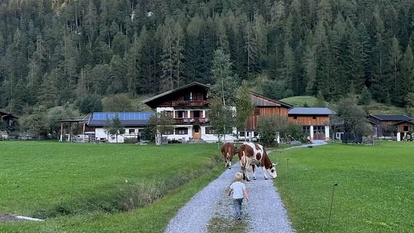 Ferienwohnung für 4 Personen, mit Garten in Sankt Martin bei Lofer - 4