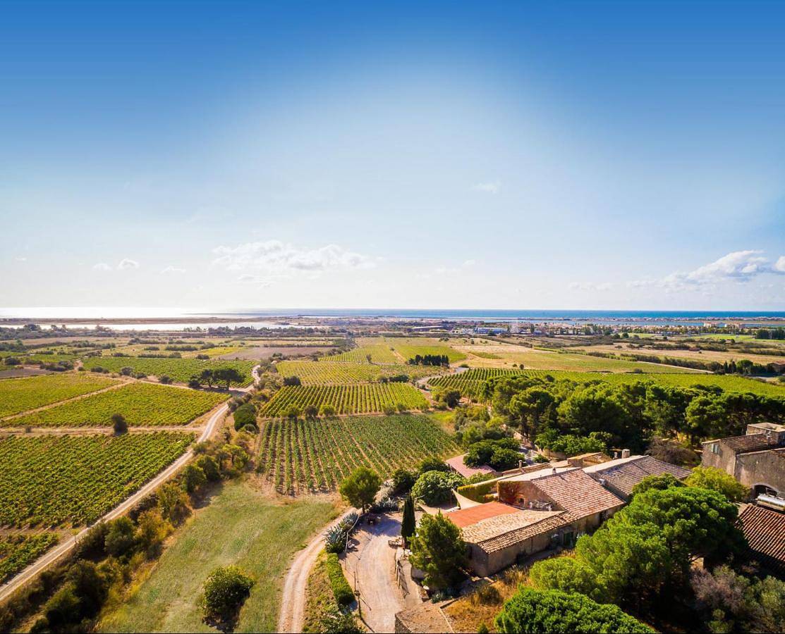 Château le Bouïs Hotel & Wine in Gruissan (Ville), Gruissan