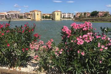 Appartement De Vacances pour 5 Personnes dans Lattes, Région de Montpellier, Photo 2
