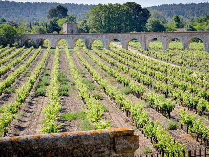 Gîte pour 6 personnes, avec piscine et balcon, animaux acceptés à Azille - 4