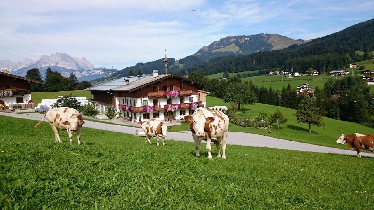 Ganze Wohnung, Apartment with Balcony in Fieberbrunn, Bezirk Kitzbühel