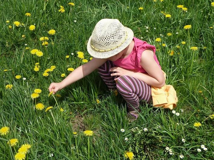 Bauernhof für 4 Personen, mit Garten im Bayerischer Wald - 2