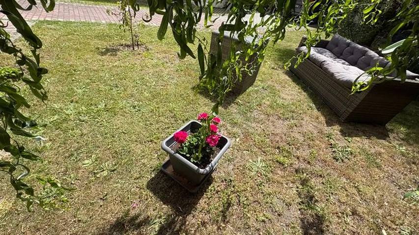 Ferienwohnung für 3 Personen in Lübben - 2