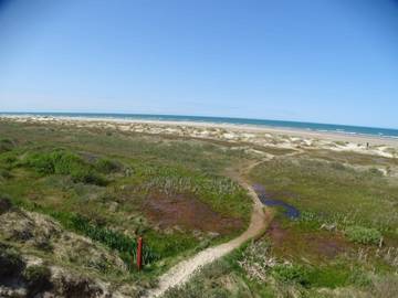 Ferieudlejning til 8 Personer i Tversted, Tannis Bugt, Billede 3
