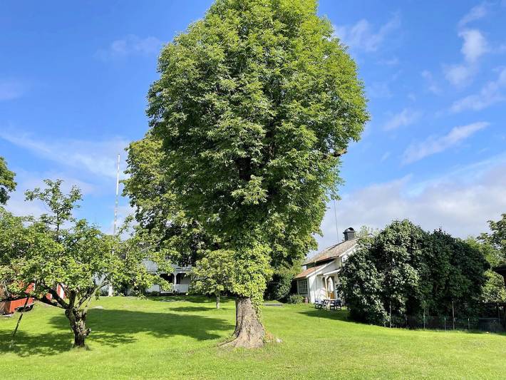 4 personer fritidhus i Björkö in Väddö