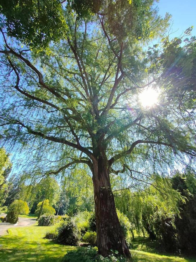Location de vacances pour 2 personnes, avec sauna et jardin ainsi que piscine et vue à Lias-d'Armagnac - 2