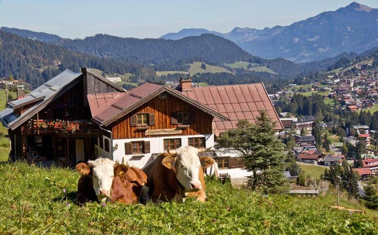Ferienhaus für 24 Personen, mit Balkon und Terrasse sowie Garten und Ausblick im Kleinwalsertal