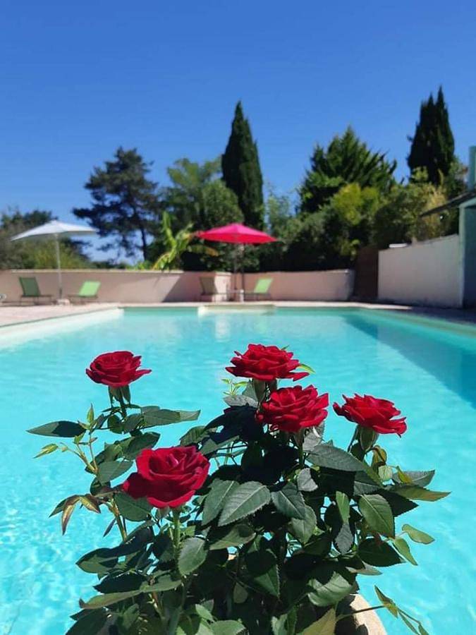 Gîte pour 2 personnes, avec Terrasse ainsi que Jardin et Piscine à Pinel-Hauterive
