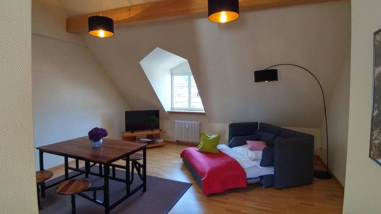 Ganze Wohnung, Wohnen unter dem Schloss in Altstadt Heidelberg, Heidelberg