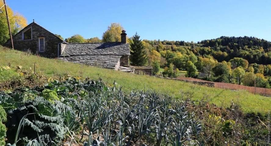 Location de vacances pour 2 personnes, avec vue et terrasse, animaux acceptés à Saint-Julien-Chapteuil - 3