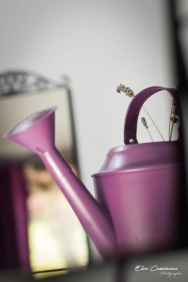 Location de vacances pour 5 personnes, avec piscine ainsi que jardin et vue, adapté aux familles à Walcourt - 4