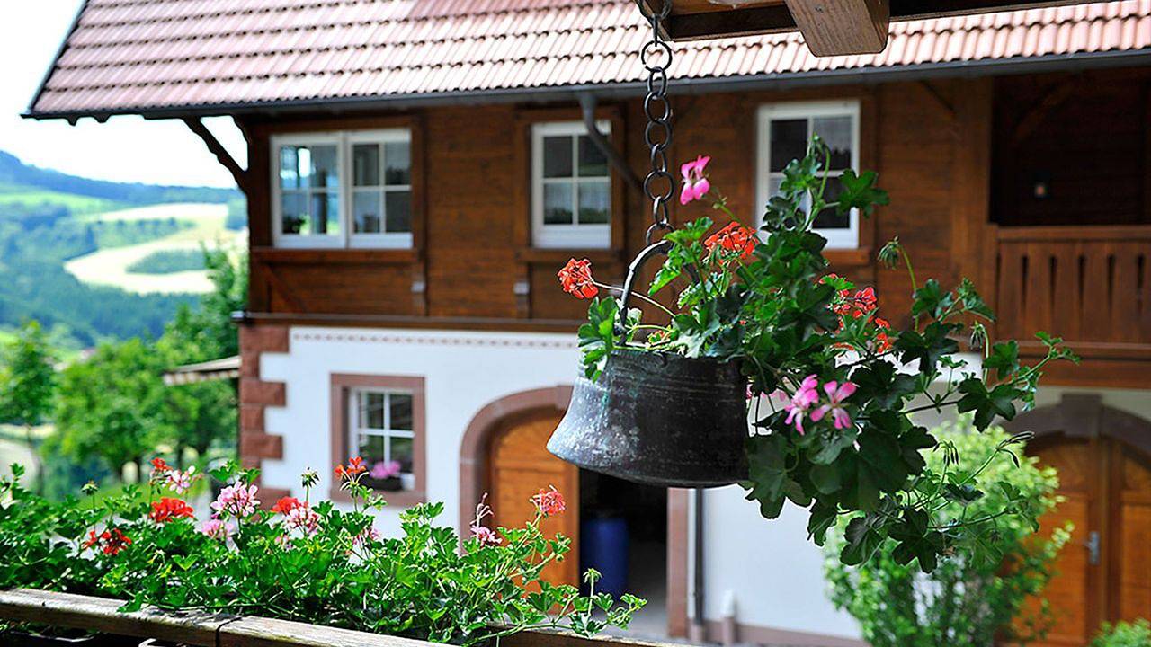 Ferienwohnung für 5 Personen in Zell am Harmersbach, Mittlerer Schwarzwald