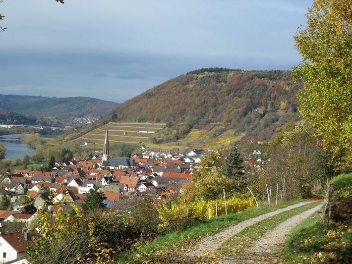 Ferienwohnung für 3 Personen, mit Balkon und Balkon/Terrasse im Spessart - 2