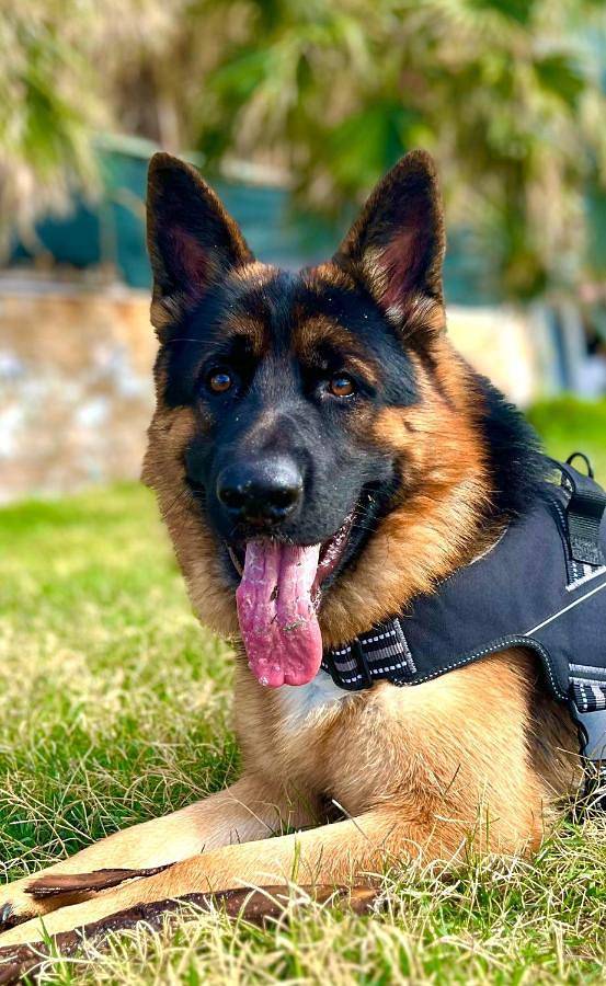 Location de vacances pour 6 personnes, avec balcon et vue à Cinisi - 2