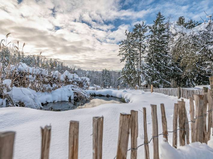 Ferienwohnung für 3 Personen, mit Garten und Balkon sowie Sauna in Breitenberg