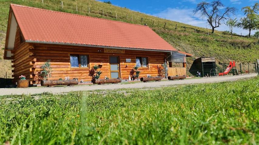 Gîte pour 4 personnes, avec terrasse et vue à Sainte-Marie-aux-Mines - 3
