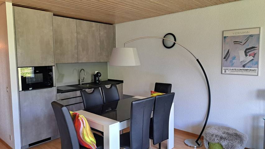 Ganze Wohnung, Dixence 113 - Wohnung 1.0 Zimmer in Thyon-Les Collons, Vex