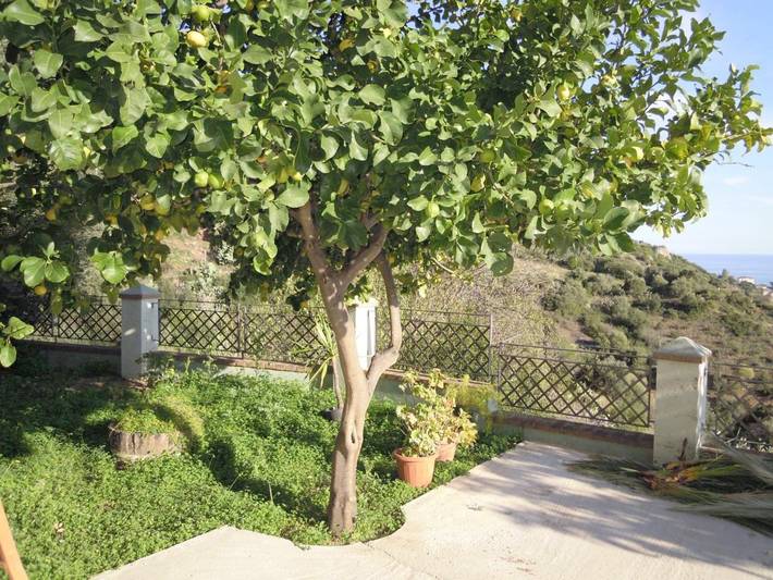 Gîte pour 2 personnes, avec jardin ainsi que terrasse et vue à Santa Maria Navarrese - 3