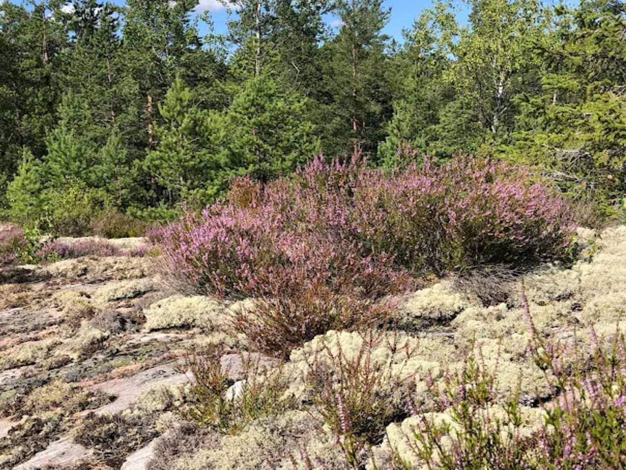 3 Personen Ferienhaus in Eskilstuna in Södermanland