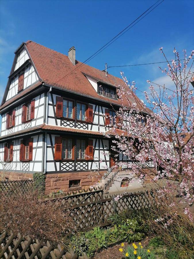 Gîte pour 4 personnes, avec balcon dans Ingolsheim