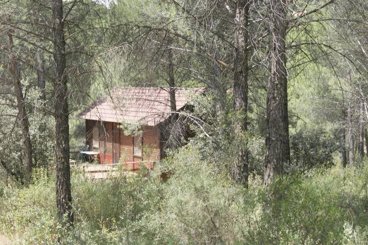 Apartamento de vacaciones para 2 personas, con piscina además de terraza y jardín en Andalucía - 3