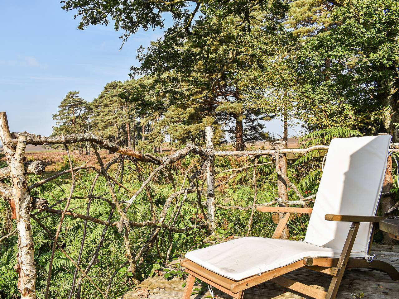 The Cottage at Dockens Water in Hyde (Hampshire), Hampshire