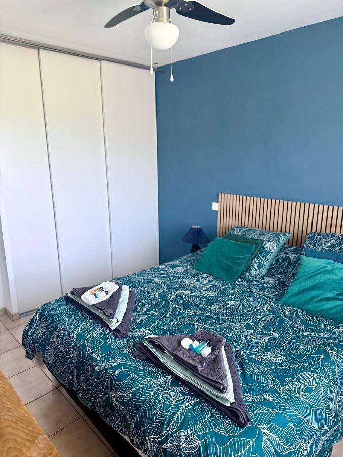 Location de vacances pour 8 personnes, avec jardin et piscine ainsi que terrasse et vue à Lavelanet - 2