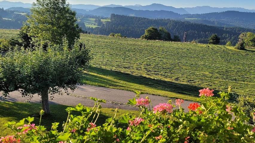 Ferienhaus für 12 Personen, mit Sauna in Weitnau - 2