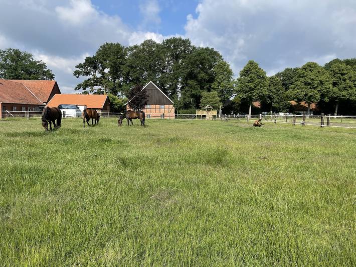 Ferienhaus für 4 Personen, mit Haustier im Münsterland - 3