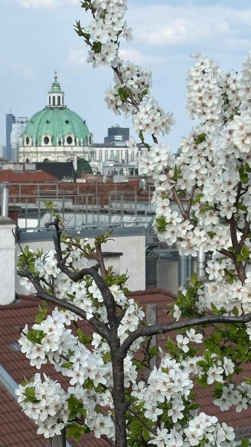 Ganze Wohnung, Quietcityviews in Wieden (Wien Bundesland), Wien