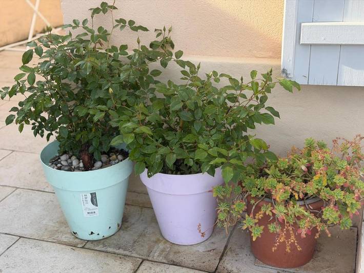 Villa pour 9 personnes, avec jardin et vue, animaux acceptés à Villeneuve-Loubet - 4