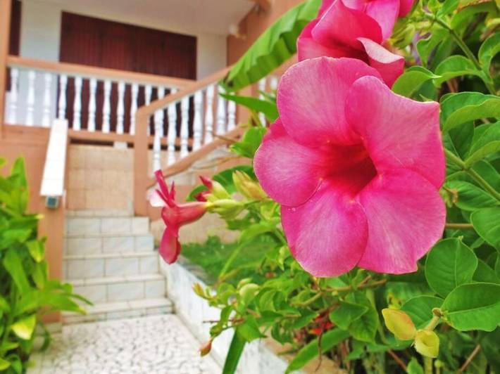 Gîte pour 3 personnes, avec vue et terrasse dans Plage de Saint-Félix
