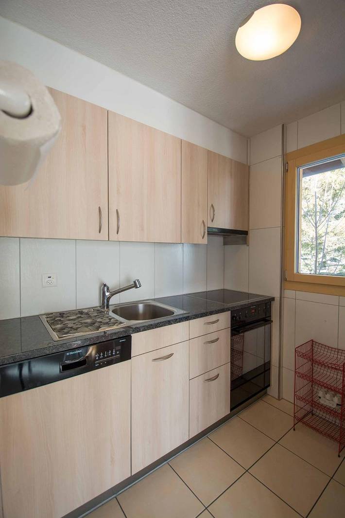 Ganze Wohnung, Grosse Ferienwohnung  an ruhiger Lage, mit herrlicher Aussicht auf die Berge. in Adelboden, Frutigen - Lenk - Adelboden