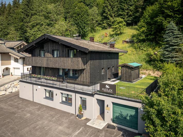Ferienwohnung für 10 Personen, mit Sauna und Terrasse in Leogang